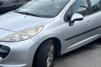 Air bag rideau droit PEUGEOT 207