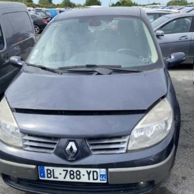 Interrupteur de leve vitre arriere gauche RENAULT SCENIC 2 Photo n°11