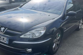 Ciel de toit PEUGEOT 607