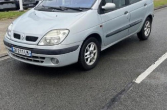 Ciel de toit RENAULT SCENIC 1