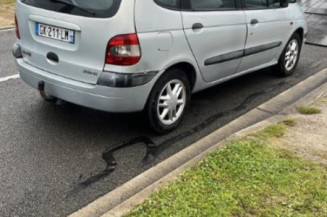 Ciel de toit RENAULT SCENIC 1