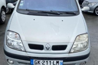 Ciel de toit RENAULT SCENIC 1