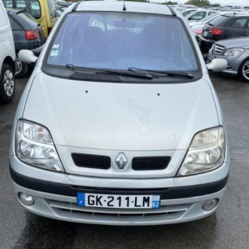 Ciel de toit RENAULT SCENIC 1 Photo n°12