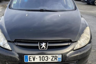 Boitier BSI PEUGEOT 307