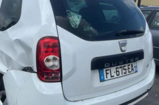 Custode arriere gauche DACIA DUSTER 1