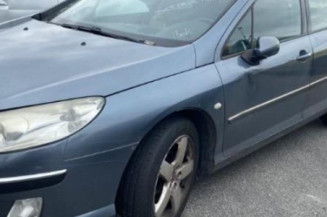 Custode avant gauche (porte) PEUGEOT 407