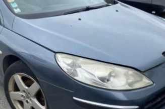 Custode avant gauche (porte) PEUGEOT 407