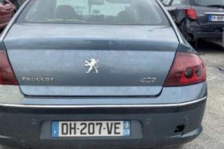 Custode avant gauche (porte) PEUGEOT 407