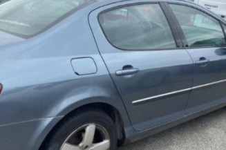 Custode avant gauche (porte) PEUGEOT 407