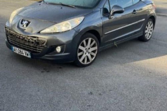 Custode avant droit (porte) PEUGEOT 207