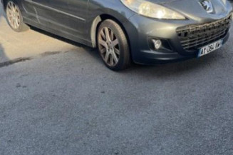 Custode avant droit (porte) PEUGEOT 207