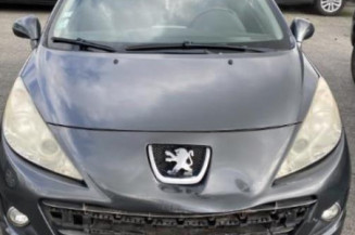 Custode avant droit (porte) PEUGEOT 207