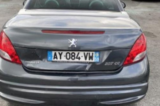 Custode avant droit (porte) PEUGEOT 207