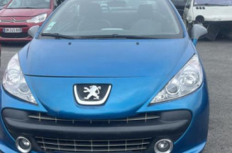 Custode avant droit (porte) PEUGEOT 207