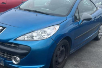 Custode avant droit (porte) PEUGEOT 207