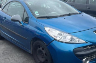 Custode avant droit (porte) PEUGEOT 207