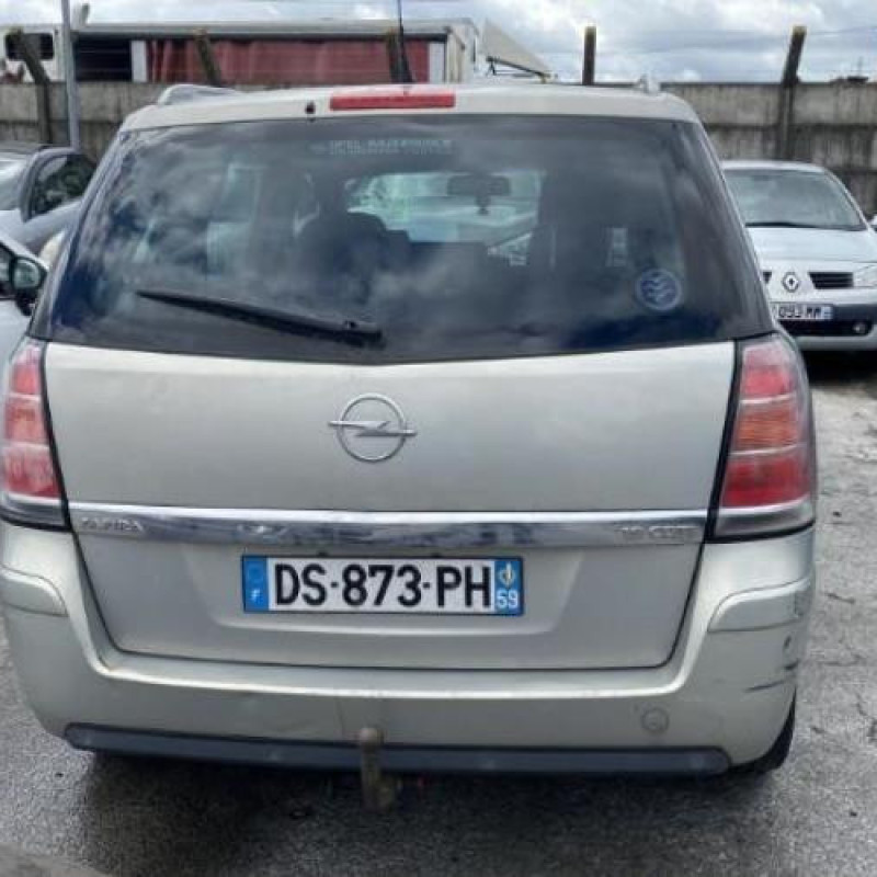 Custode arriere droit (porte) OPEL ZAFIRA B Photo n°10