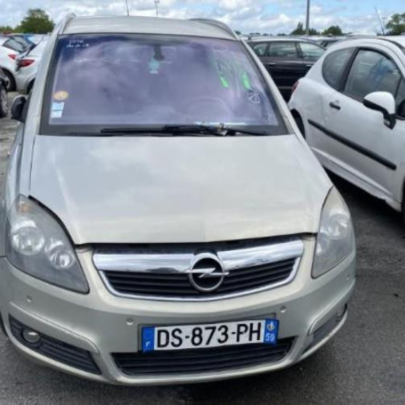 Custode arriere droit (porte) OPEL ZAFIRA B Photo n°12