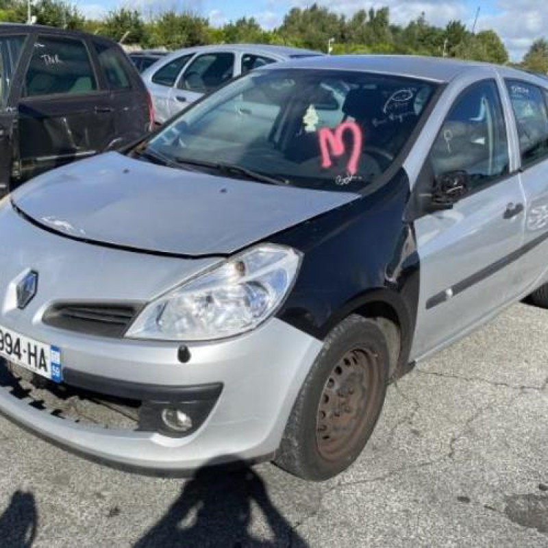 Custode arriere droit (porte) RENAULT CLIO 3 Photo n°6