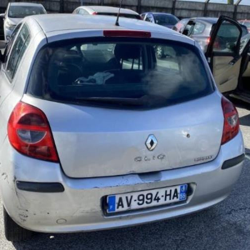 Custode arriere droit (porte) RENAULT CLIO 3 Photo n°10