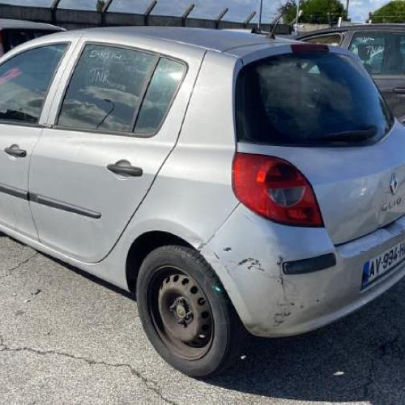 Custode arriere gauche (porte) RENAULT CLIO 3 Photo n°9