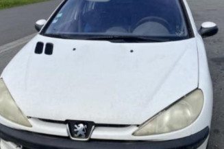 Vitre arriere droit PEUGEOT 206