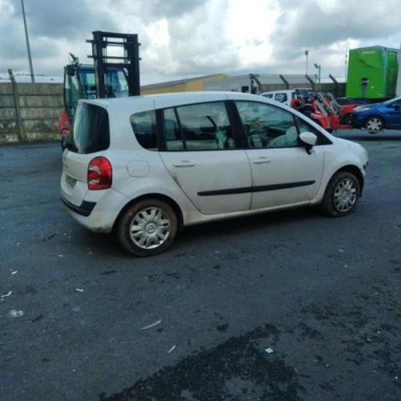 Poignee porte arriere droit RENAULT GRAND MODUS Photo n°7