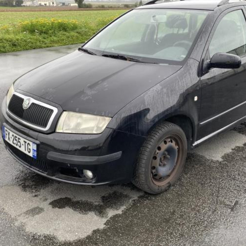 Custode arriere gauche (porte) SKODA FABIA 1 Photo n°1