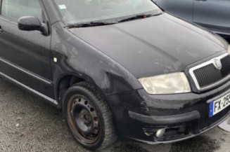 Custode arriere gauche (porte) SKODA FABIA 1