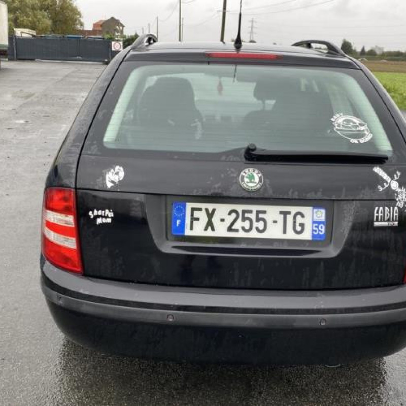 Custode arriere gauche (porte) SKODA FABIA 1 Photo n°5