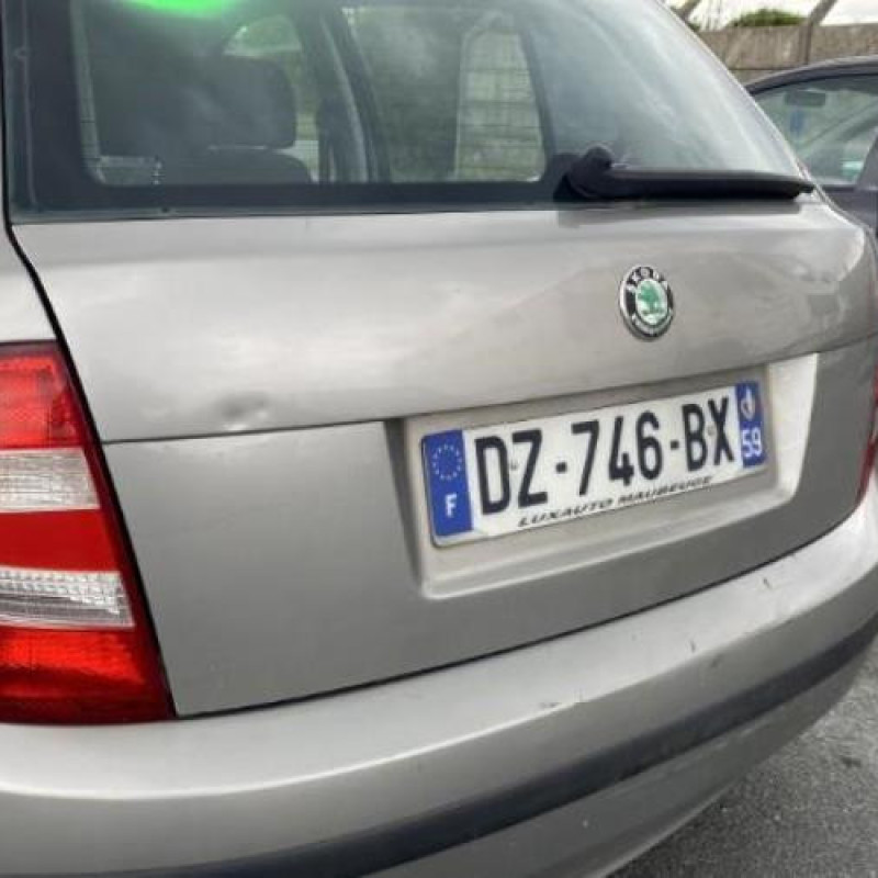 Custode arriere droit (porte) SKODA FABIA 1 Photo n°18