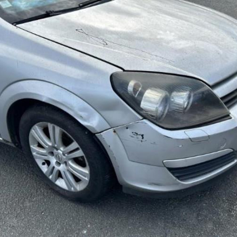 Custode arriere gauche (porte) OPEL ASTRA H Photo n°6