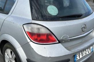 Custode arriere gauche (porte) OPEL ASTRA H