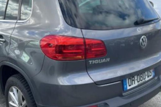 Extension d'aile arriere droit VOLKSWAGEN TIGUAN 1