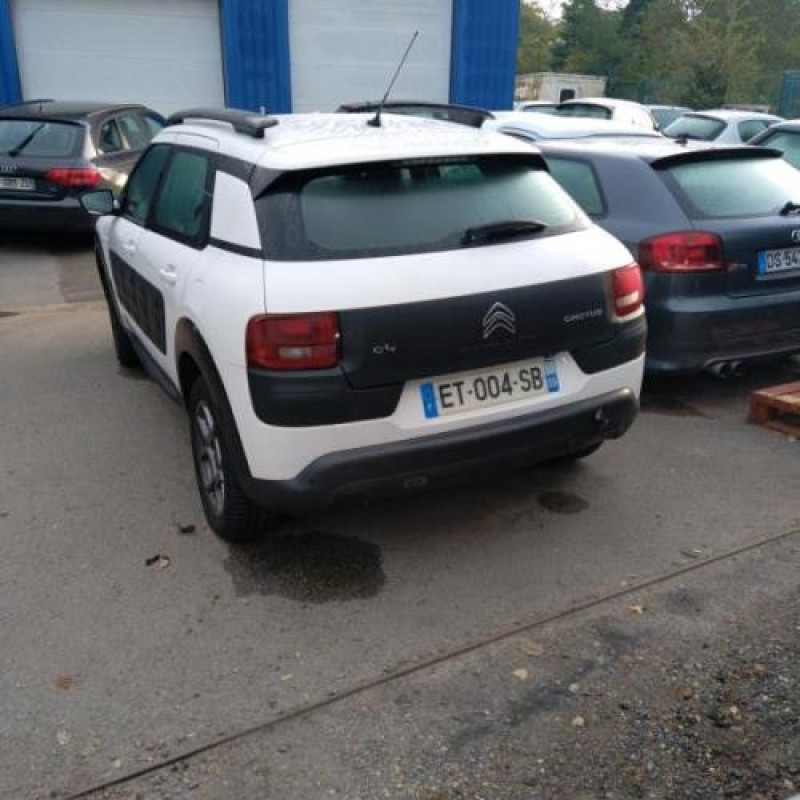 Baguette de porte arriere gauche  CITROEN C4 CACTUS Photo n°5