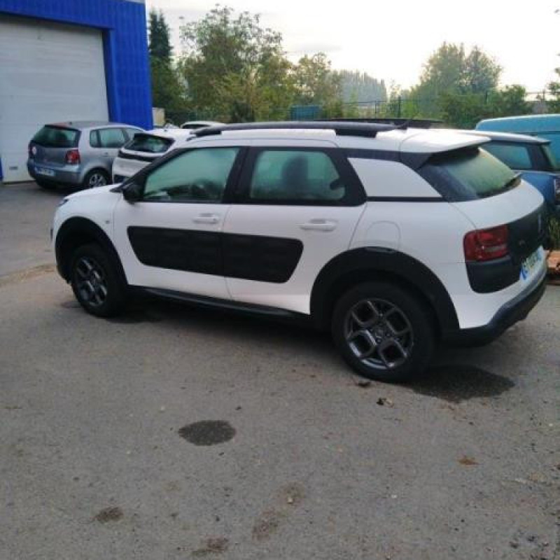 Baguette de porte arriere gauche  CITROEN C4 CACTUS Photo n°6