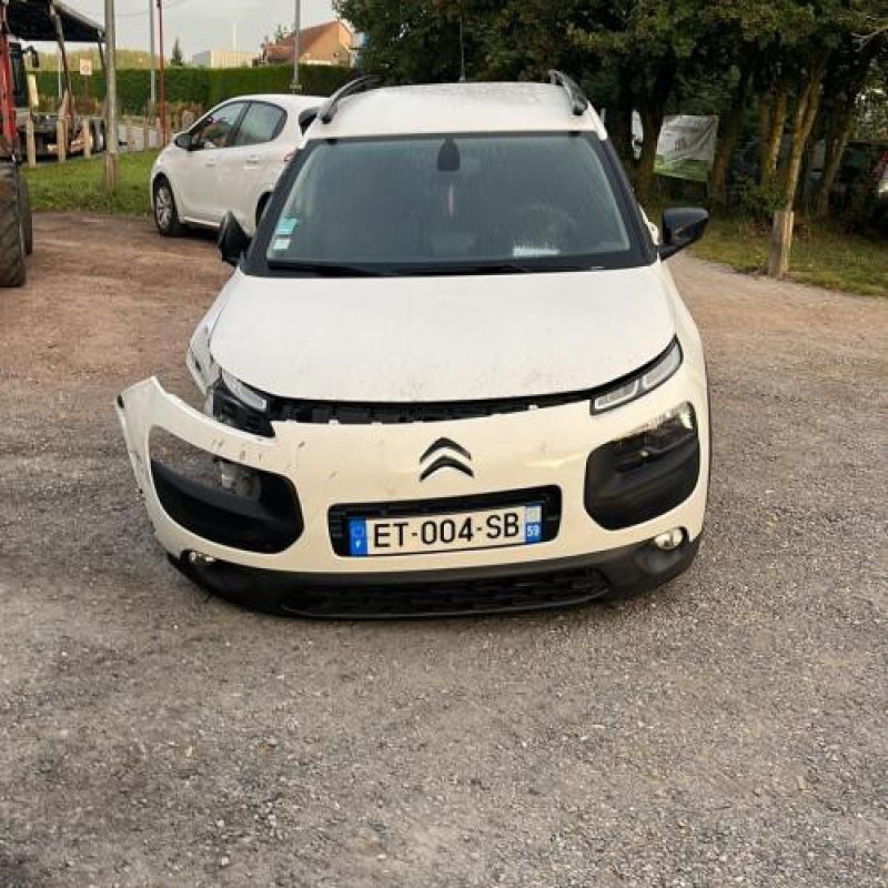 Baguette de porte arriere gauche  CITROEN C4 CACTUS Photo n°14