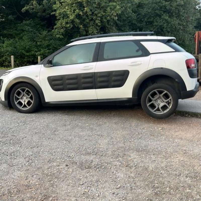 Baguette de porte arriere gauche  CITROEN C4 CACTUS Photo n°17