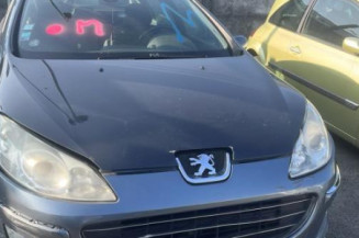 Custode avant gauche (porte) PEUGEOT 407