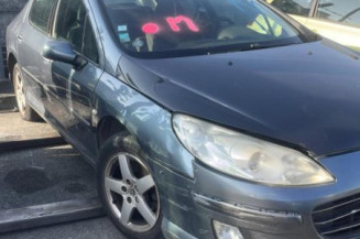 Custode avant gauche (porte) PEUGEOT 407