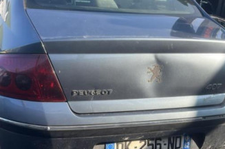 Custode avant gauche (porte) PEUGEOT 407