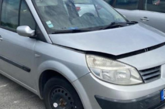 Custode arriere gauche RENAULT SCENIC 2