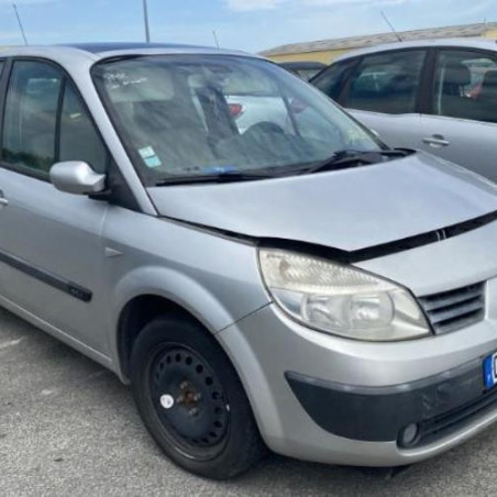 Custode arriere gauche RENAULT SCENIC 2