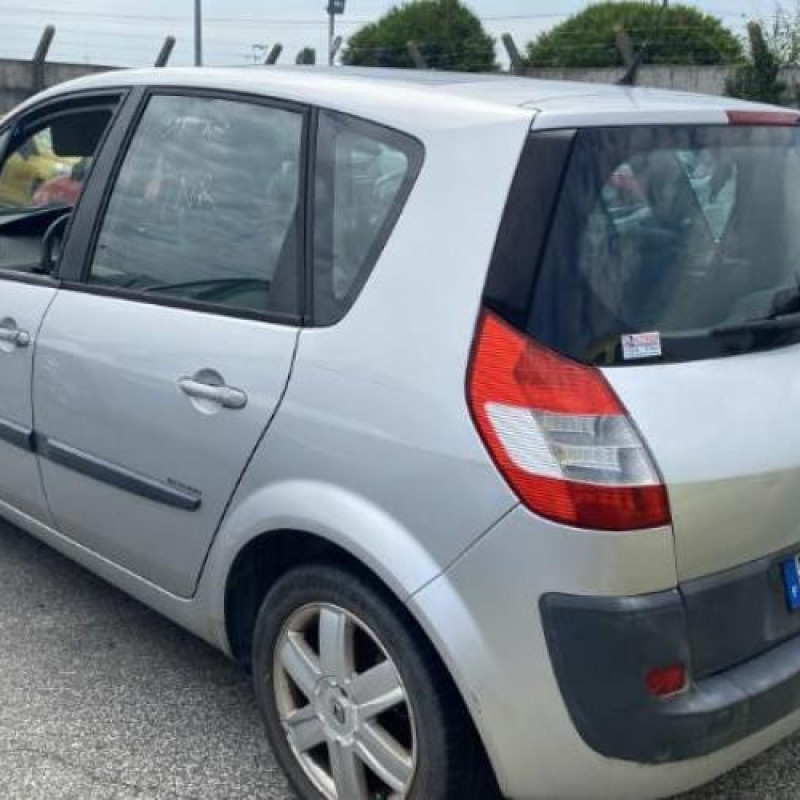 Custode arriere gauche RENAULT SCENIC 2 Photo n°4