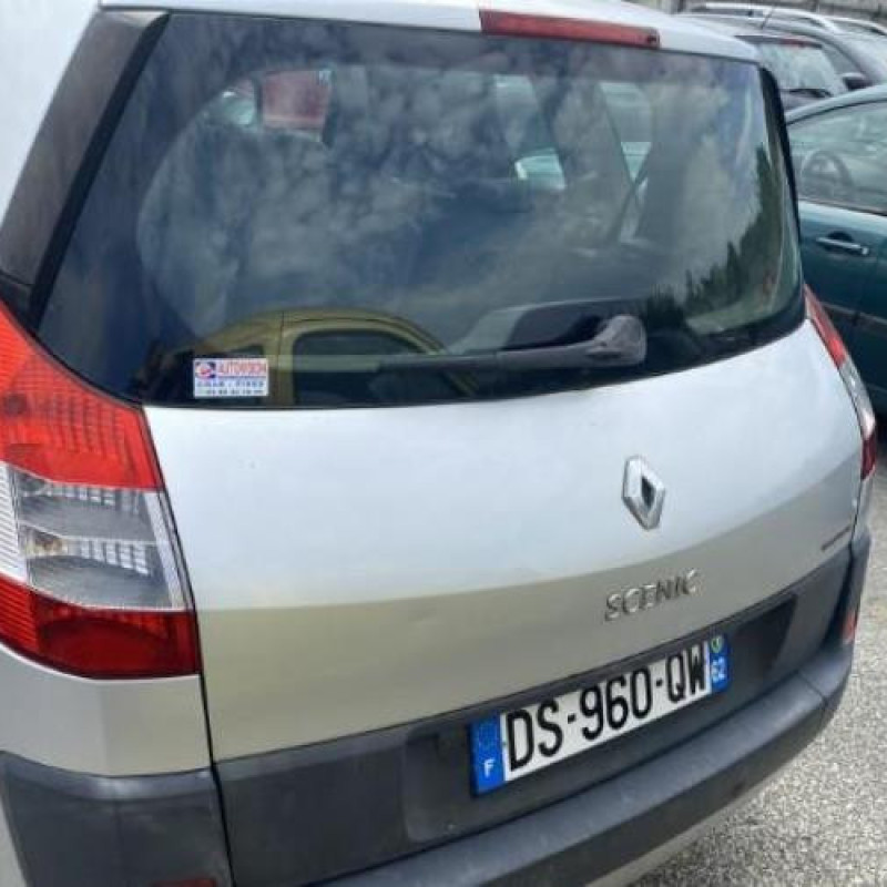 Custode arriere gauche RENAULT SCENIC 2 Photo n°5