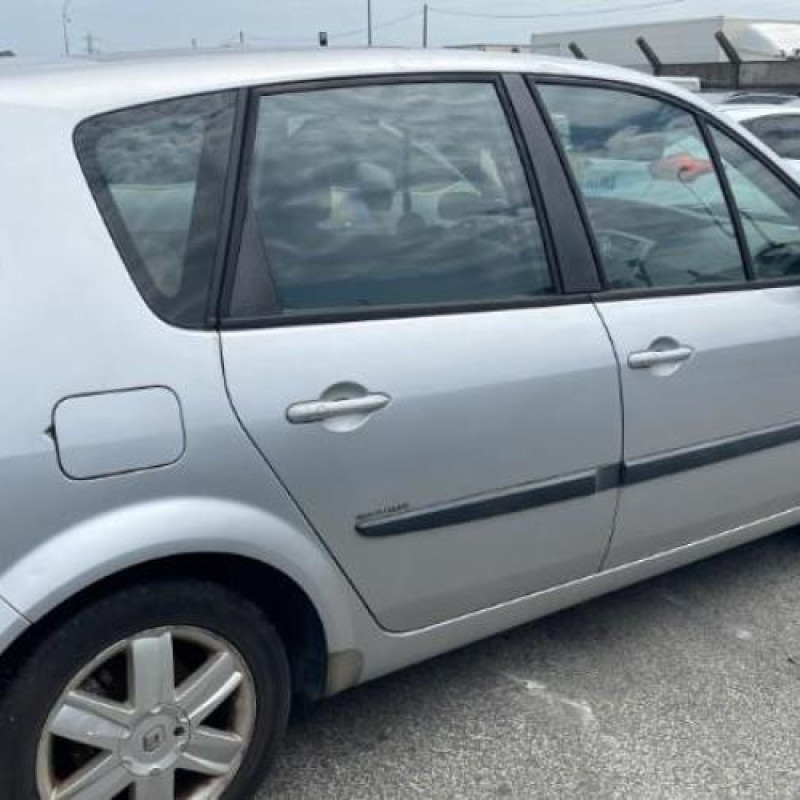 Custode arriere gauche RENAULT SCENIC 2 Photo n°7