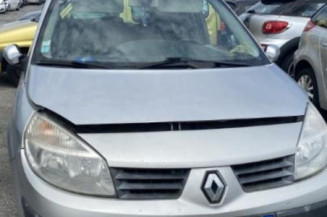 Custode arriere gauche RENAULT SCENIC 2