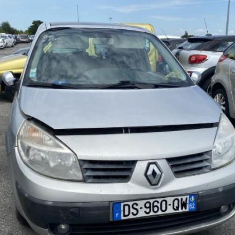 Custode arriere gauche RENAULT SCENIC 2 Photo n°8