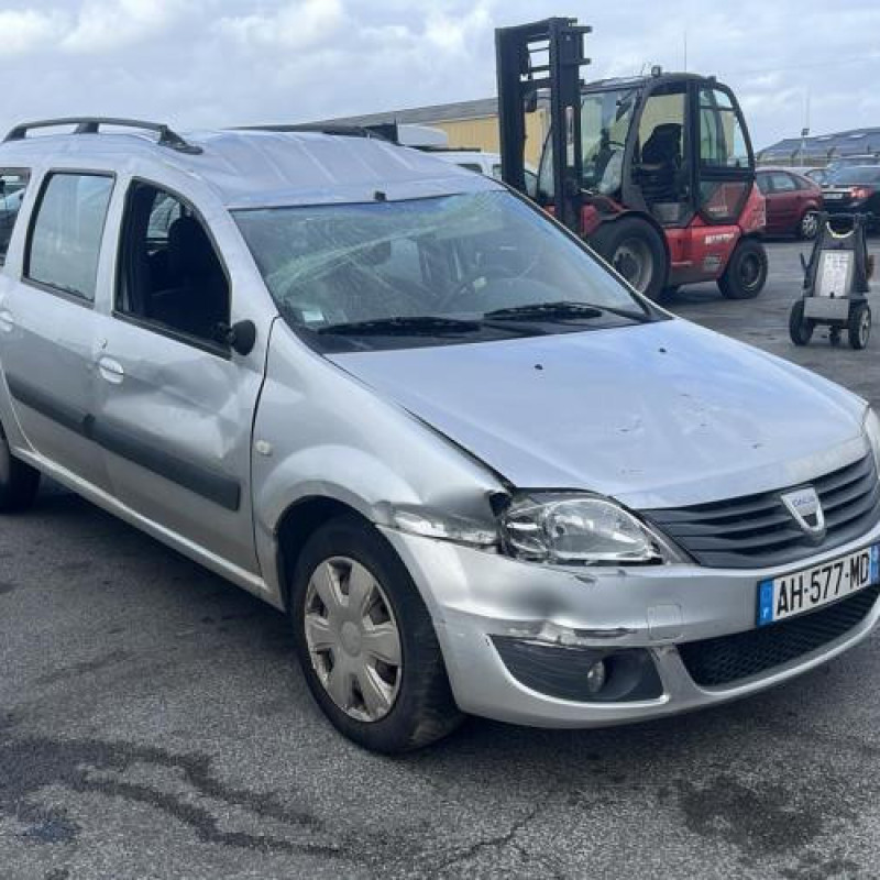 Porte de coffre gauche DACIA LOGAN MCV 1 Photo n°10