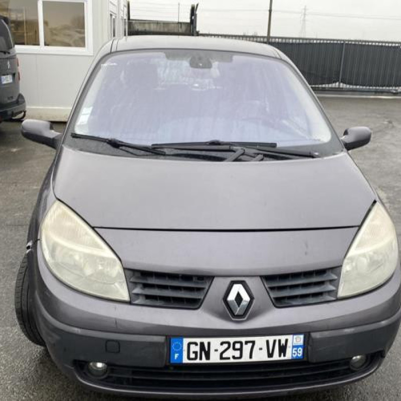 Vitre arriere droit RENAULT SCENIC 2 Photo n°8